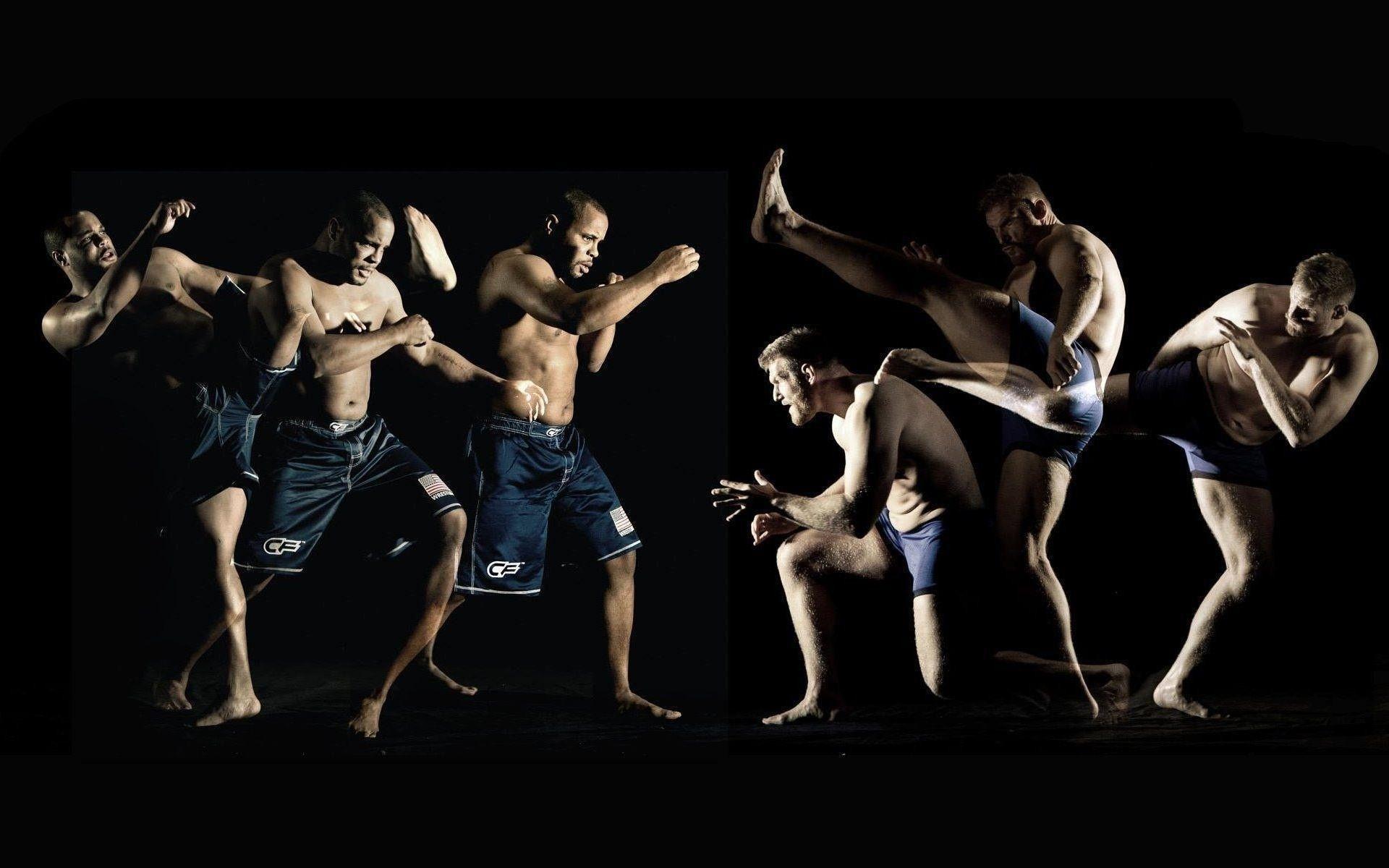 Mixed Martial Arts Wallpaper
