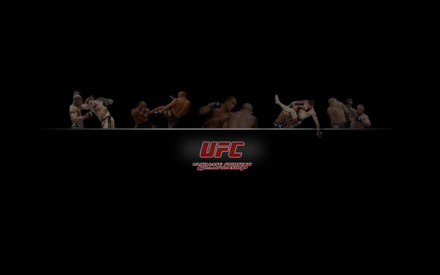 MMA (Mixed Martial Arts) wallpaper 1440x900 desktop background