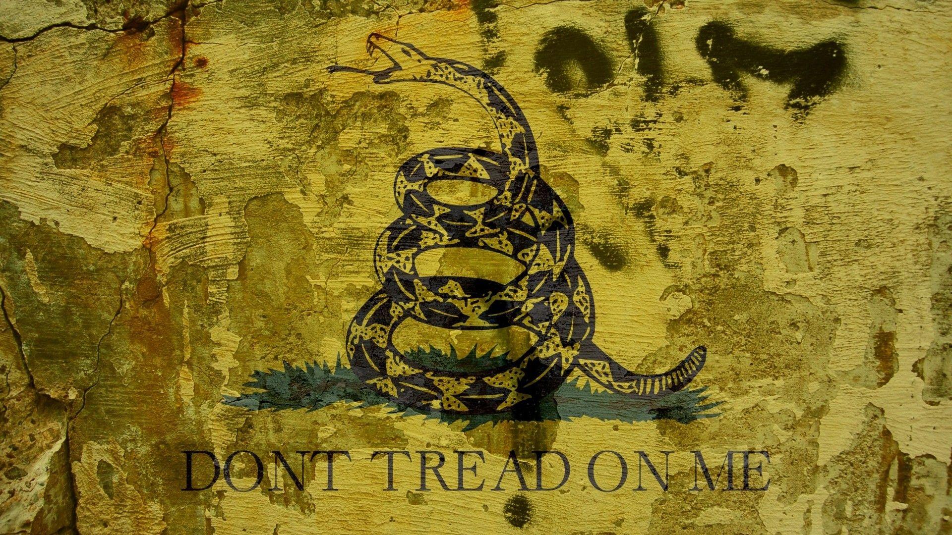 Wallpaper.wiki Don T Tread On Me Metallica PIC WPB009040