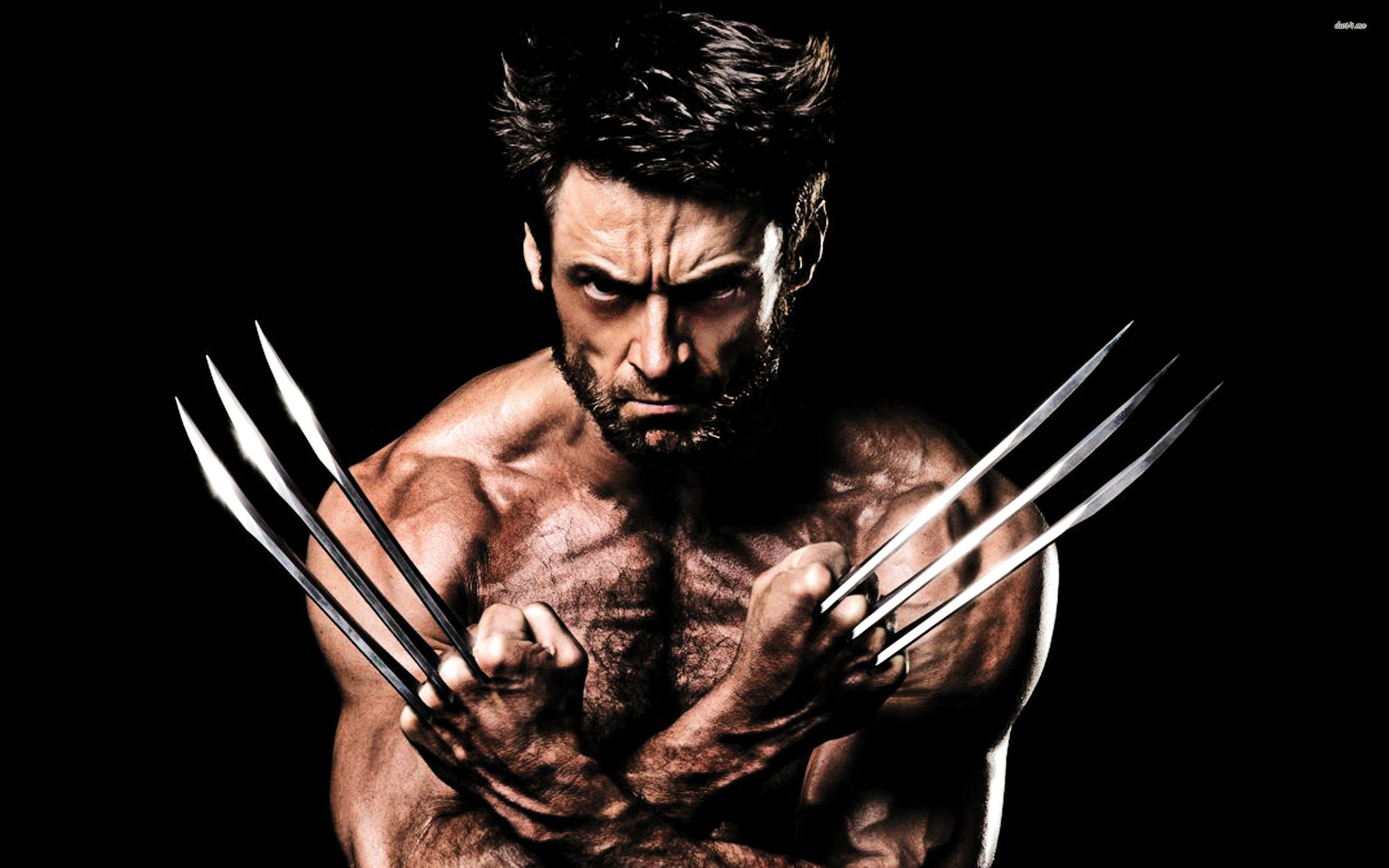 Wolverine HD Image