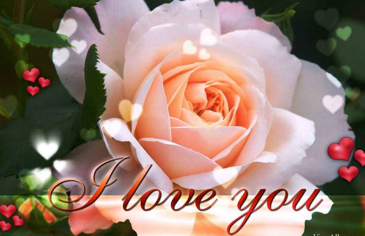 I Love you Image, Picture and Quotes