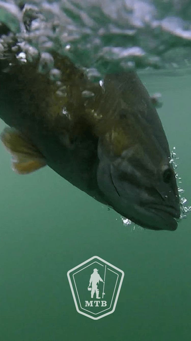 Fishing Phone Wallpaper You Should Use Right Now!