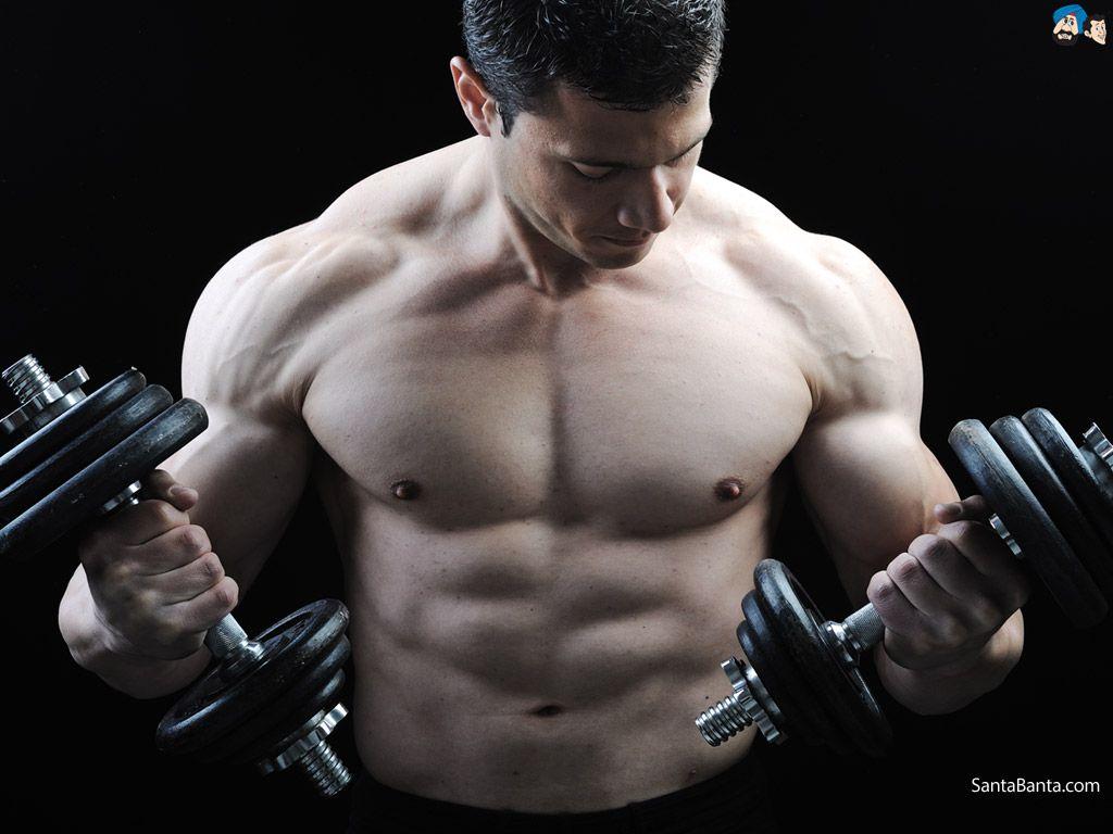 Bodybuilding Wallpaper