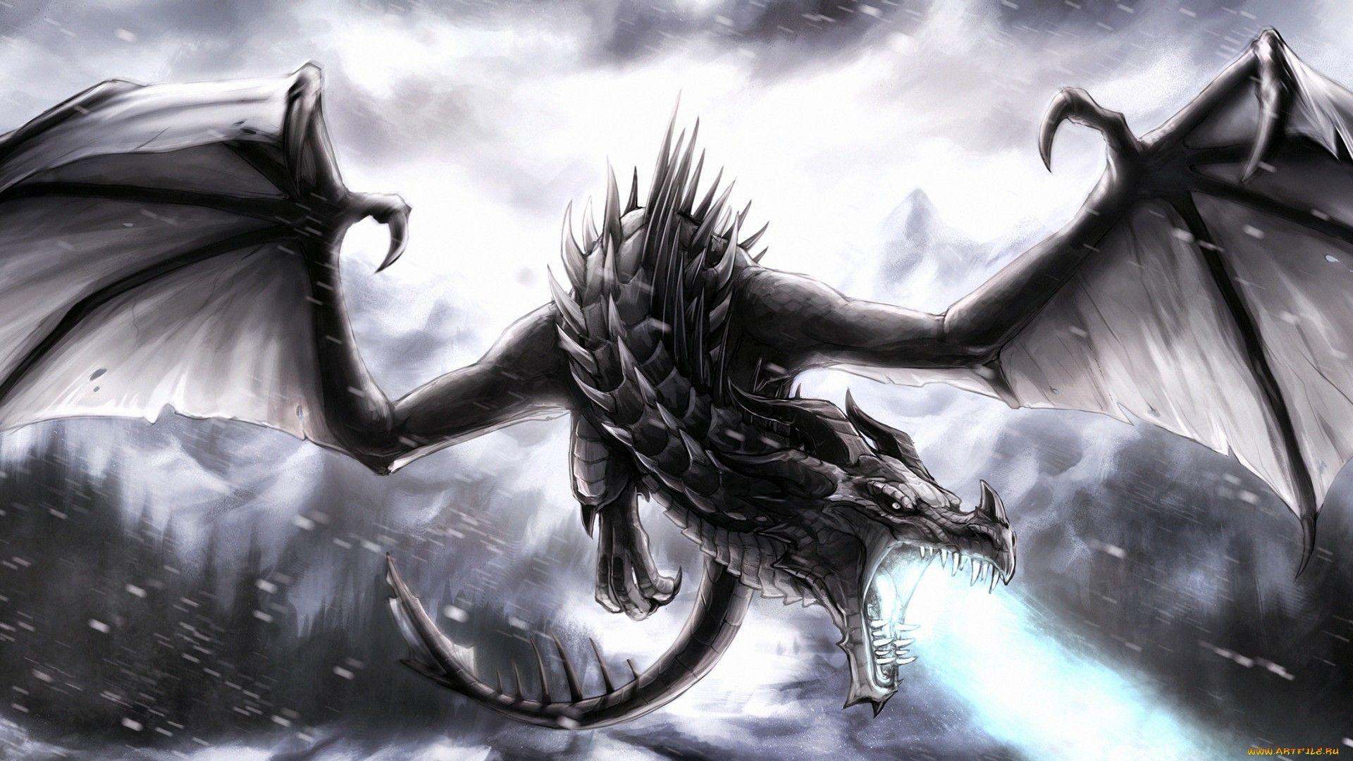 Black Dragon Wallpaper HD 001