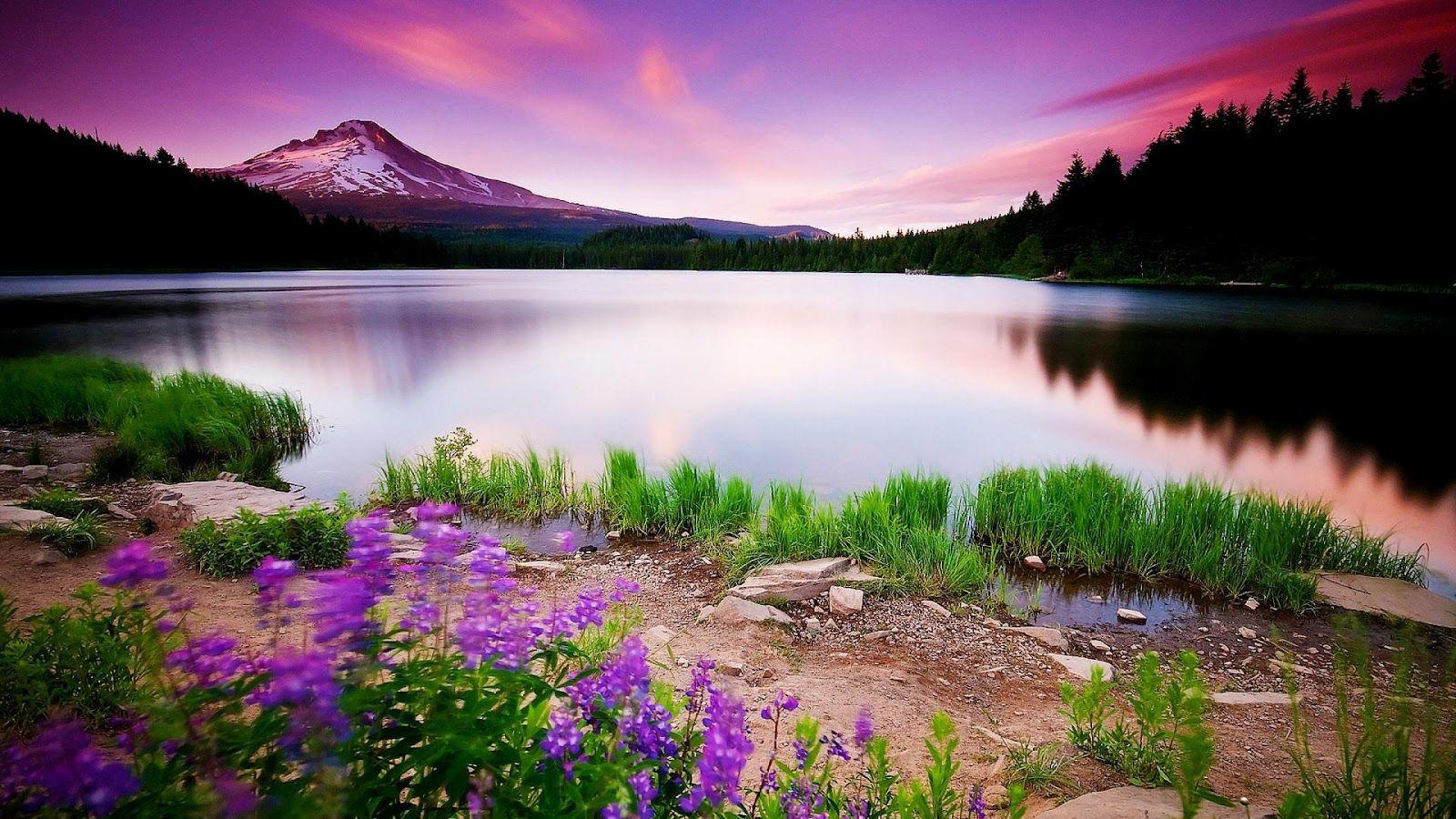 nature wallpaper widescreen hd