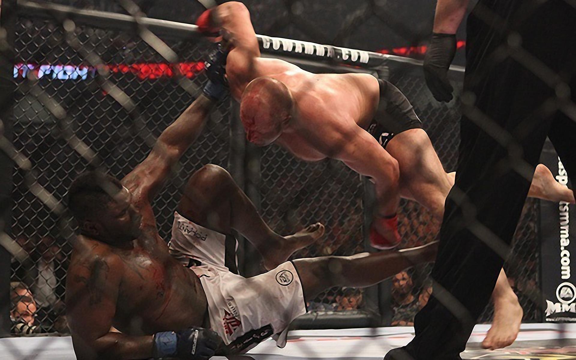 Fedor Emelianenko Desktop Wallpaper HD