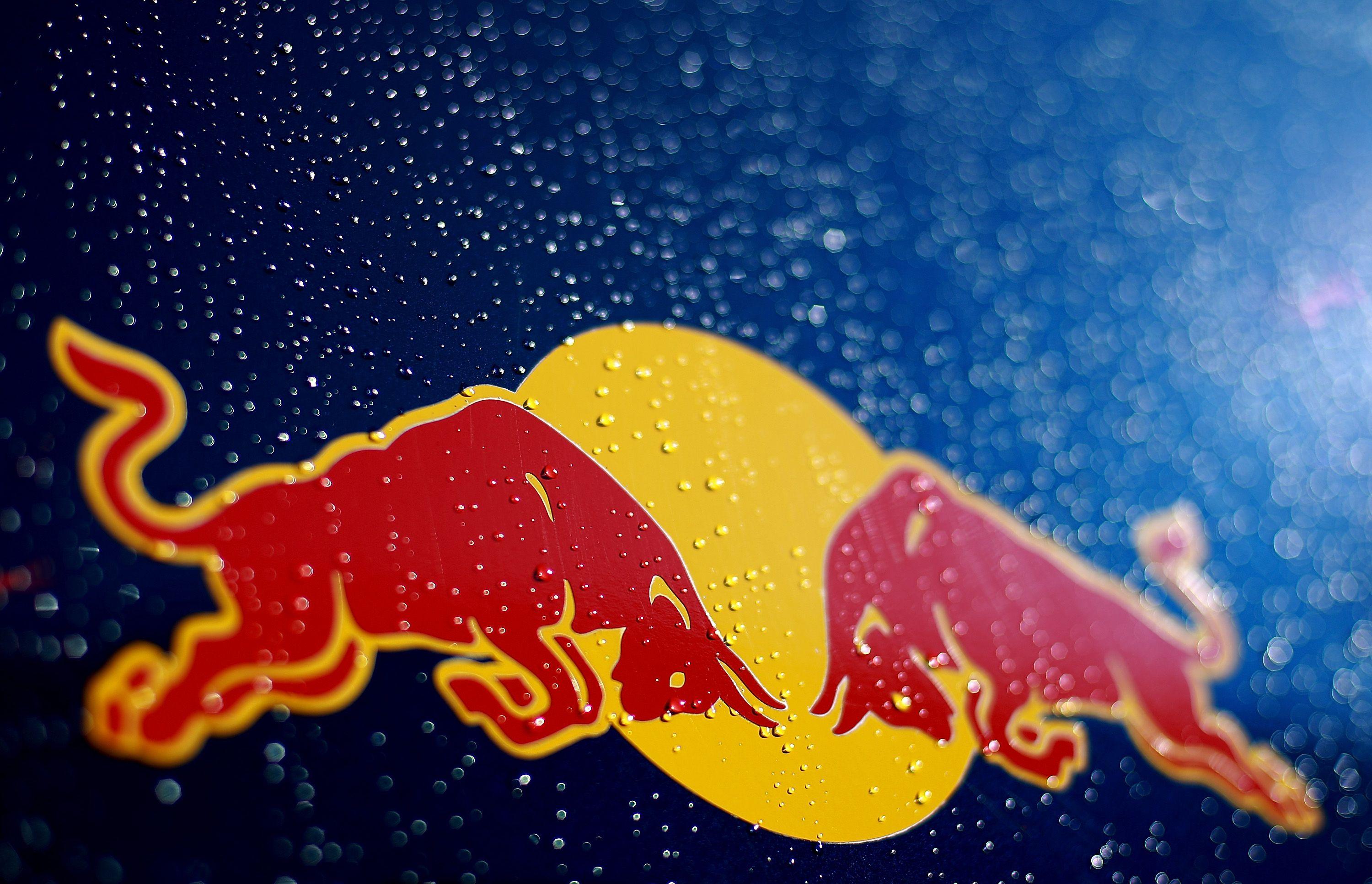 Free Download Red Bull Logo Wallpaper