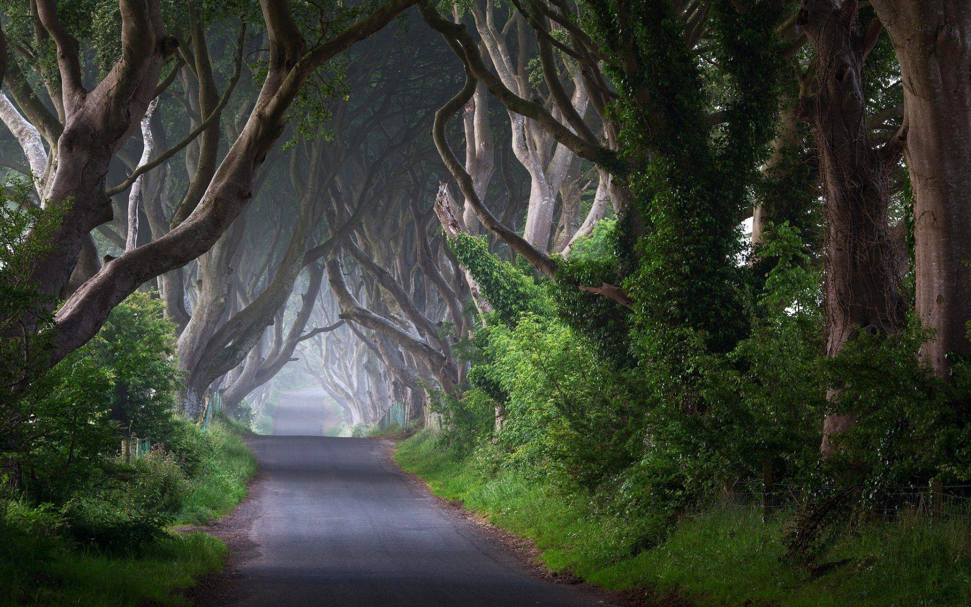 Download wallpaper ireland