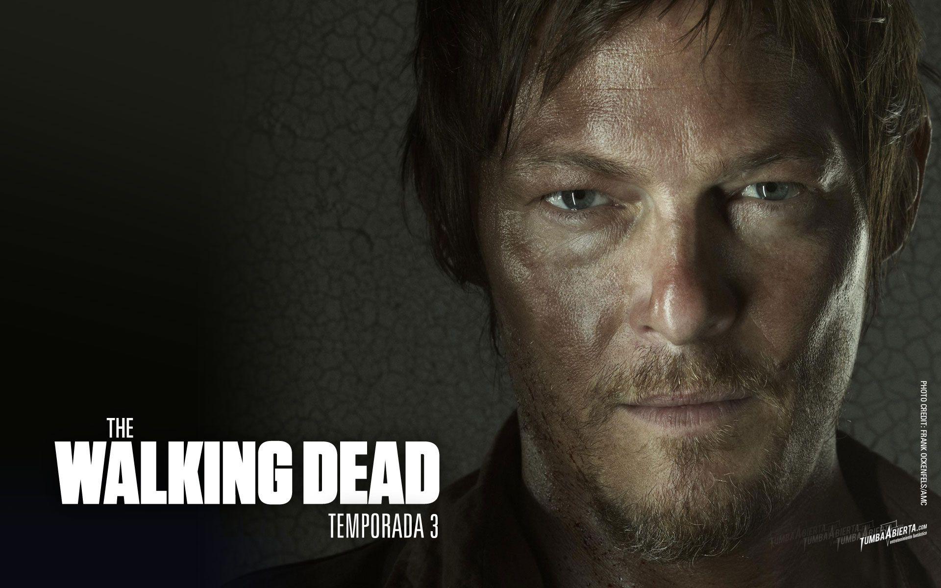Wallpaper the walking dead t3 HD daryl