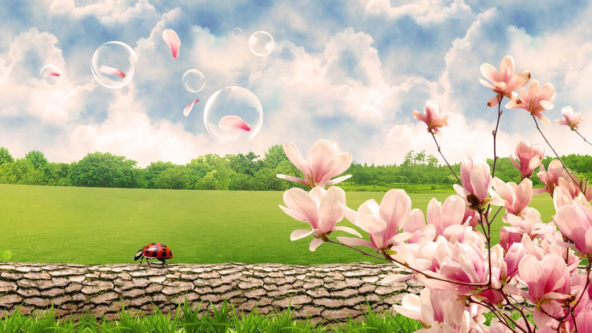 Beautiful Nature Spring Scenes Wallpaper HD. Wallpaper 4k