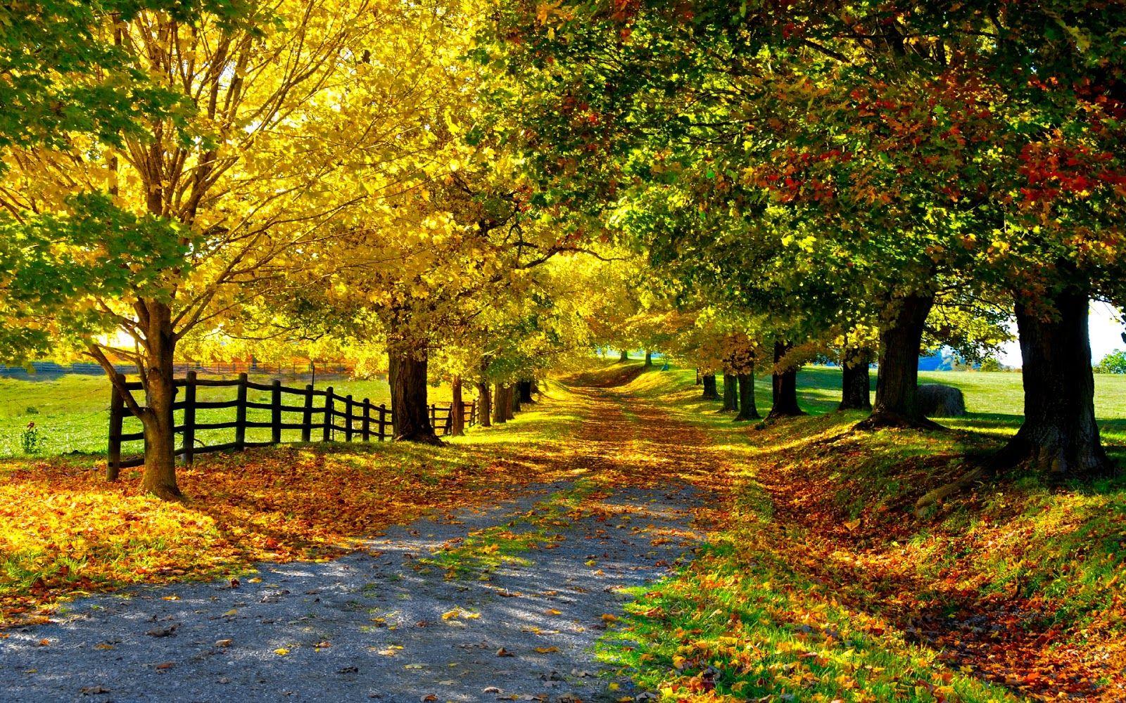 Beautiful Autumn Wallpaper. Most beautiful places in the world. Download Free Wallpaper