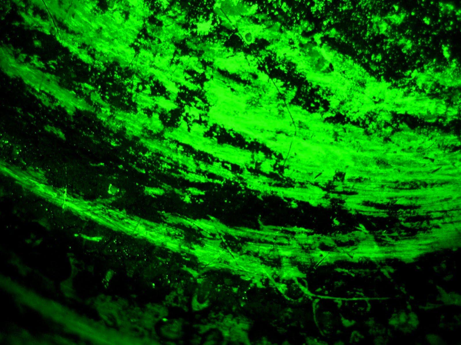 HD green neon lights wallpapers | Peakpx
