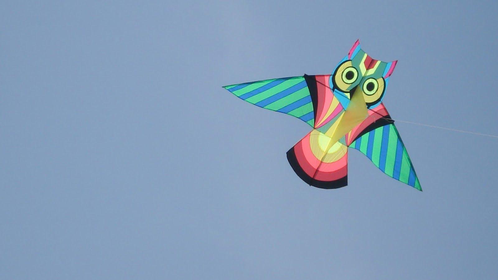 kites. Kites HD wallpaper Wallpaper High Definition