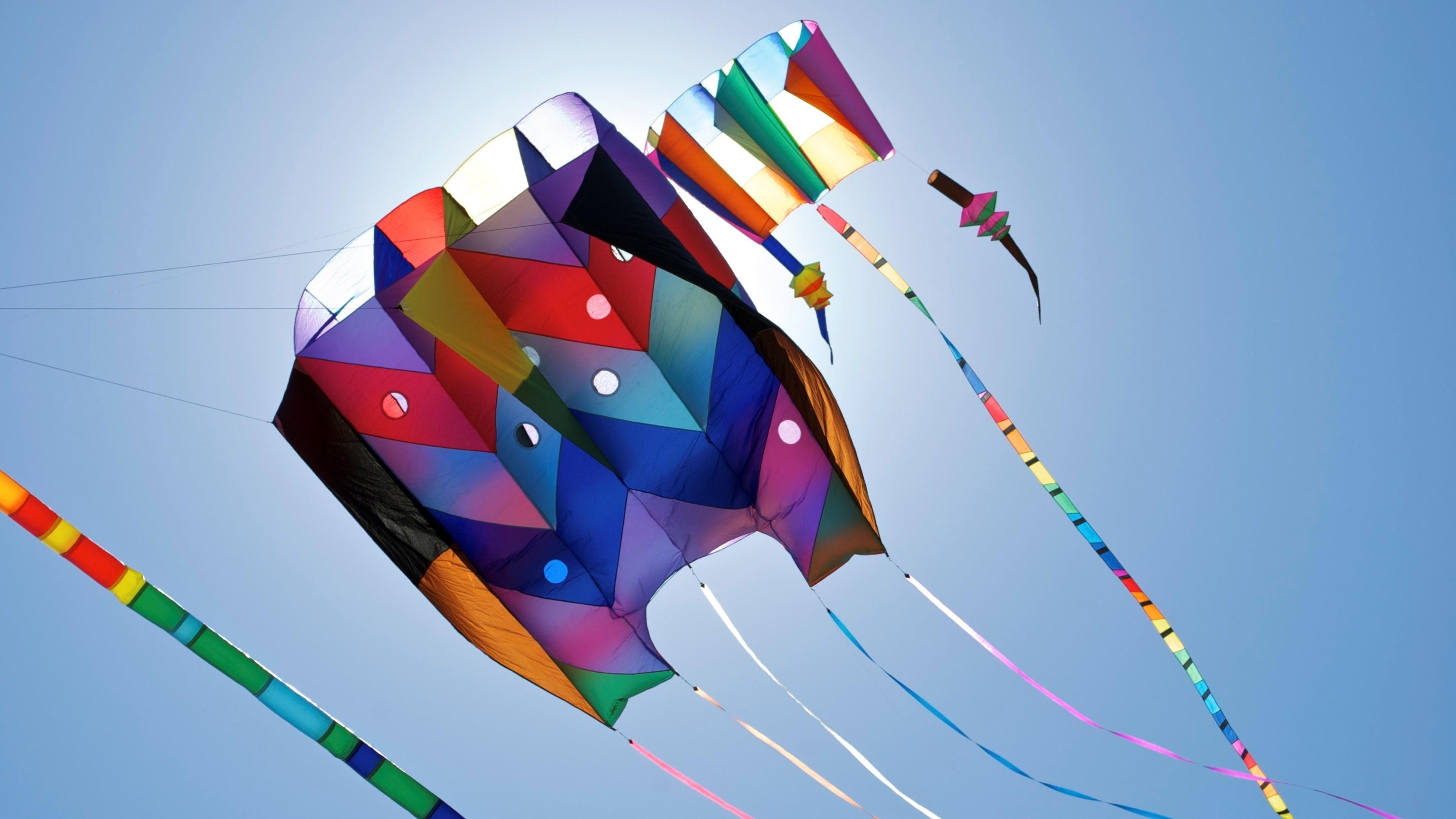Happy Pongal Festival Flying Wallpaper. Wallpaper Studio 10