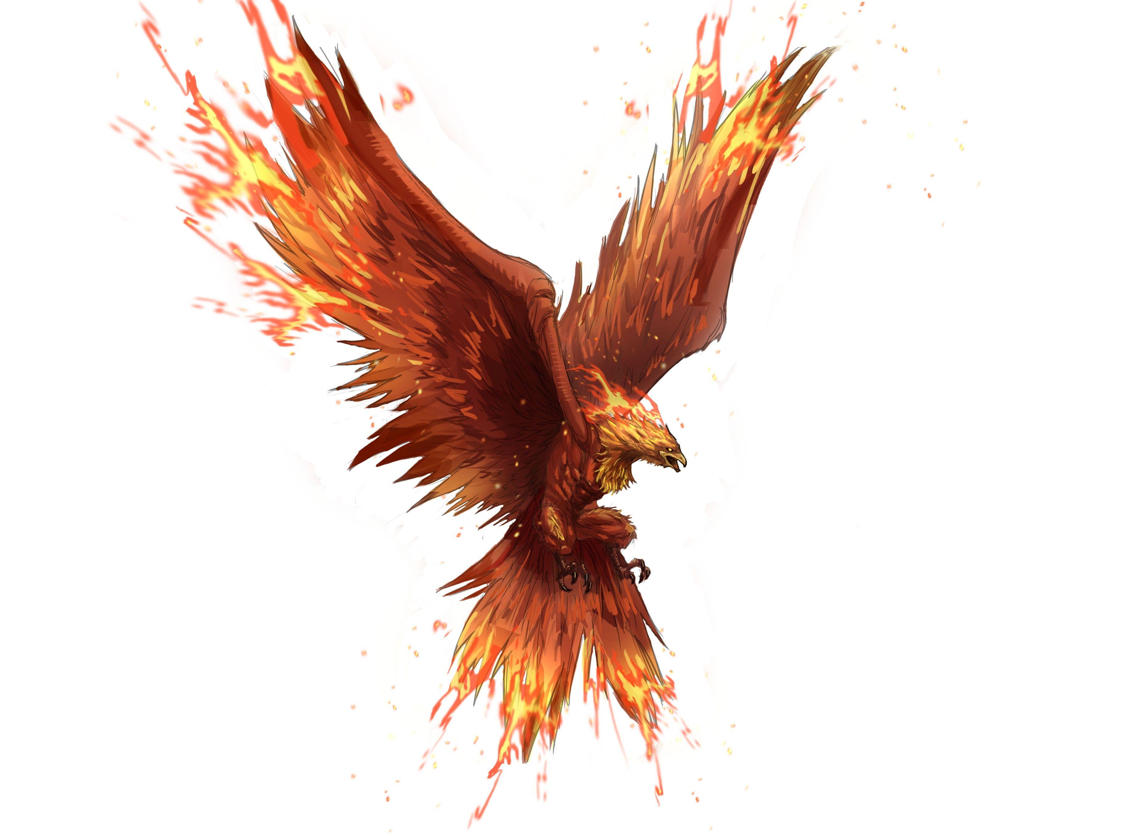 phoenix, fantasy art, fenix bird, card wallpaper