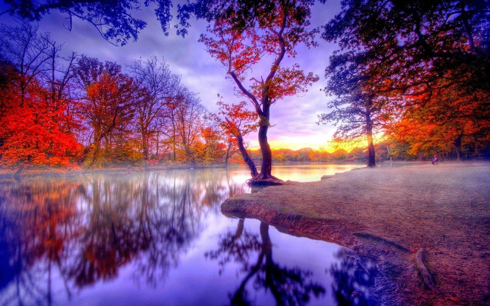 Laptop HD Wallpaper Free Download