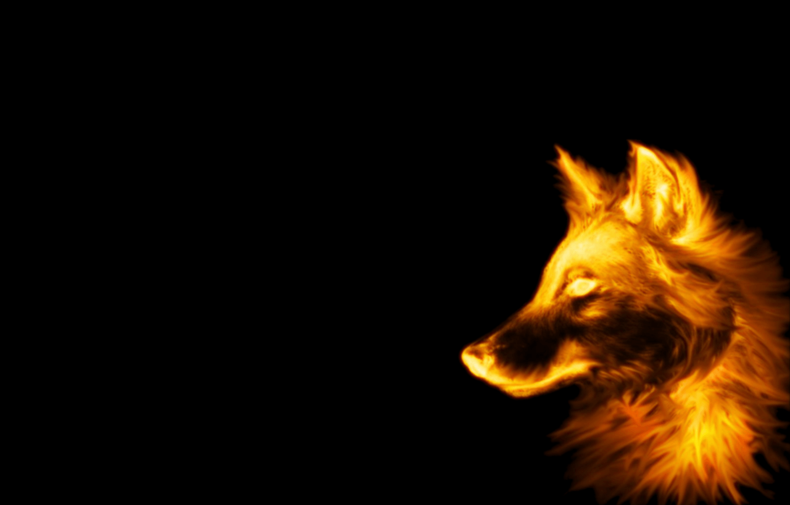 Wolf Wallpaper and Background Imagex1024