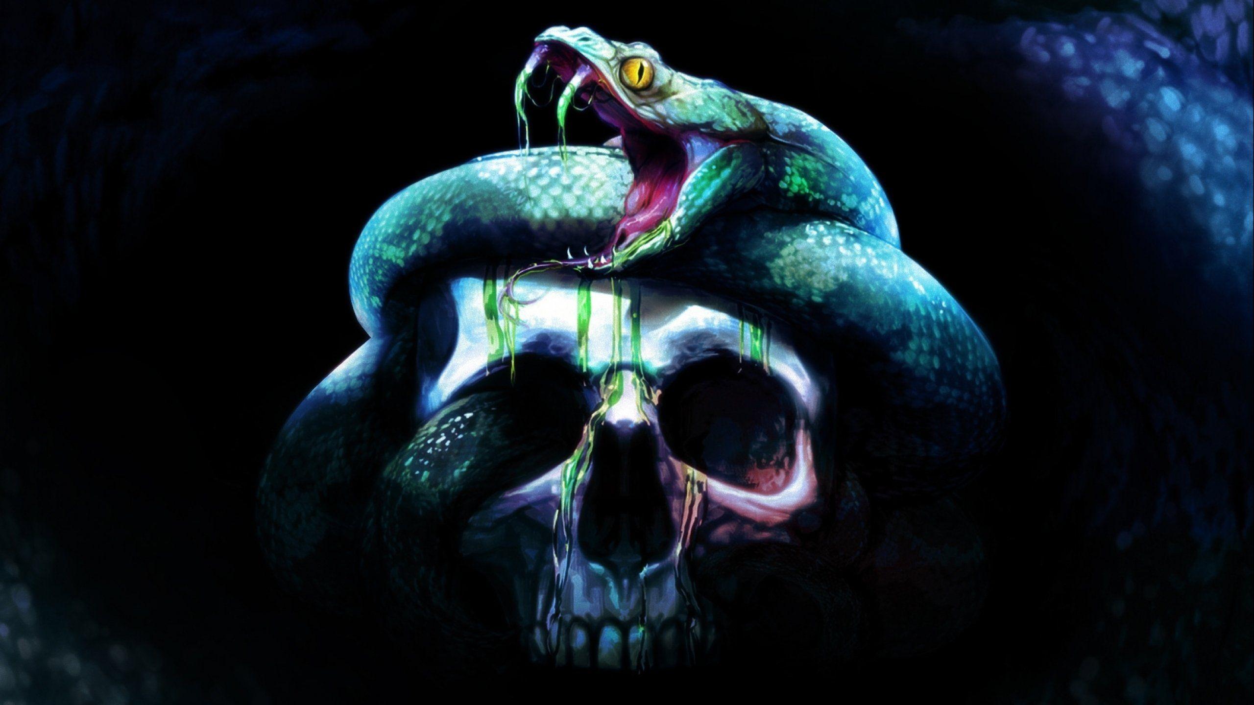 Skull Snake Artwork HD Wallpaper