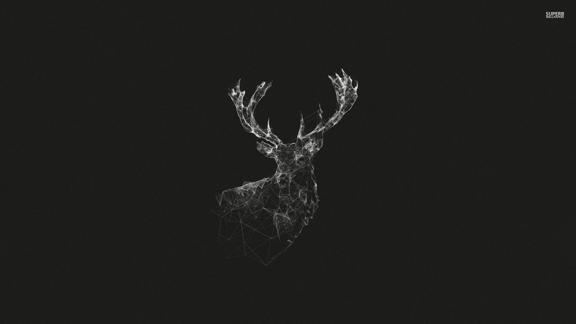 Stag Wallpaper