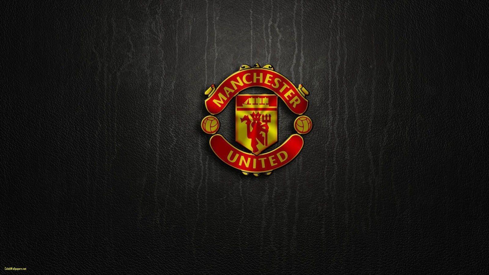 Manchester United Logo Wallpaper HD Beautiful Man