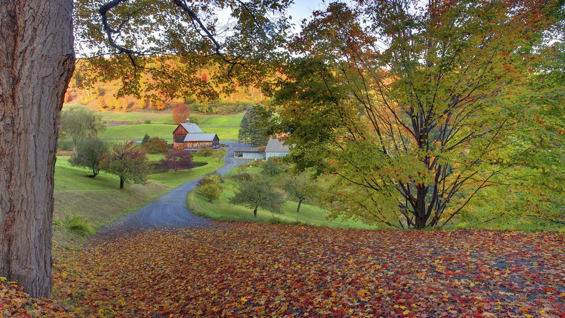 Wallpaper, autumn, beautiful, nature, scenery, garden
