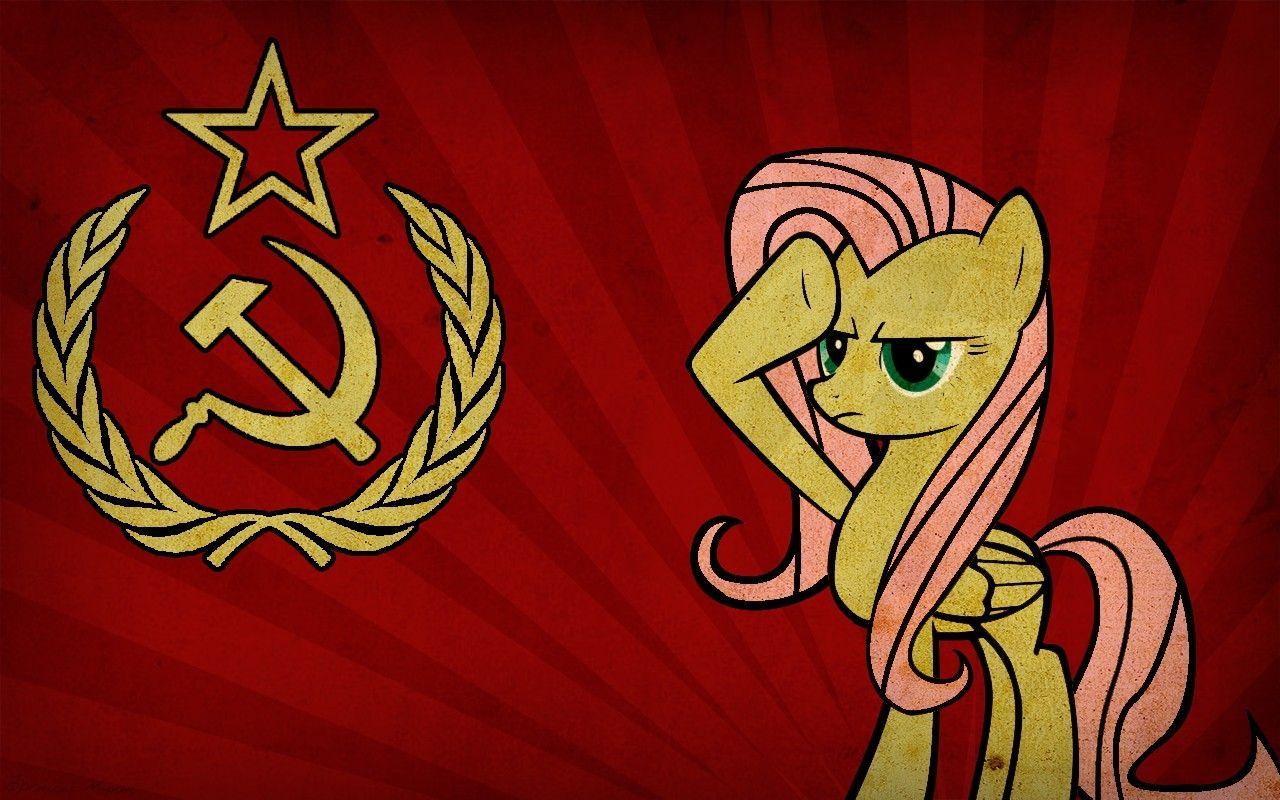 soviet pony ussr my little pony fluttershy my little pony friendship