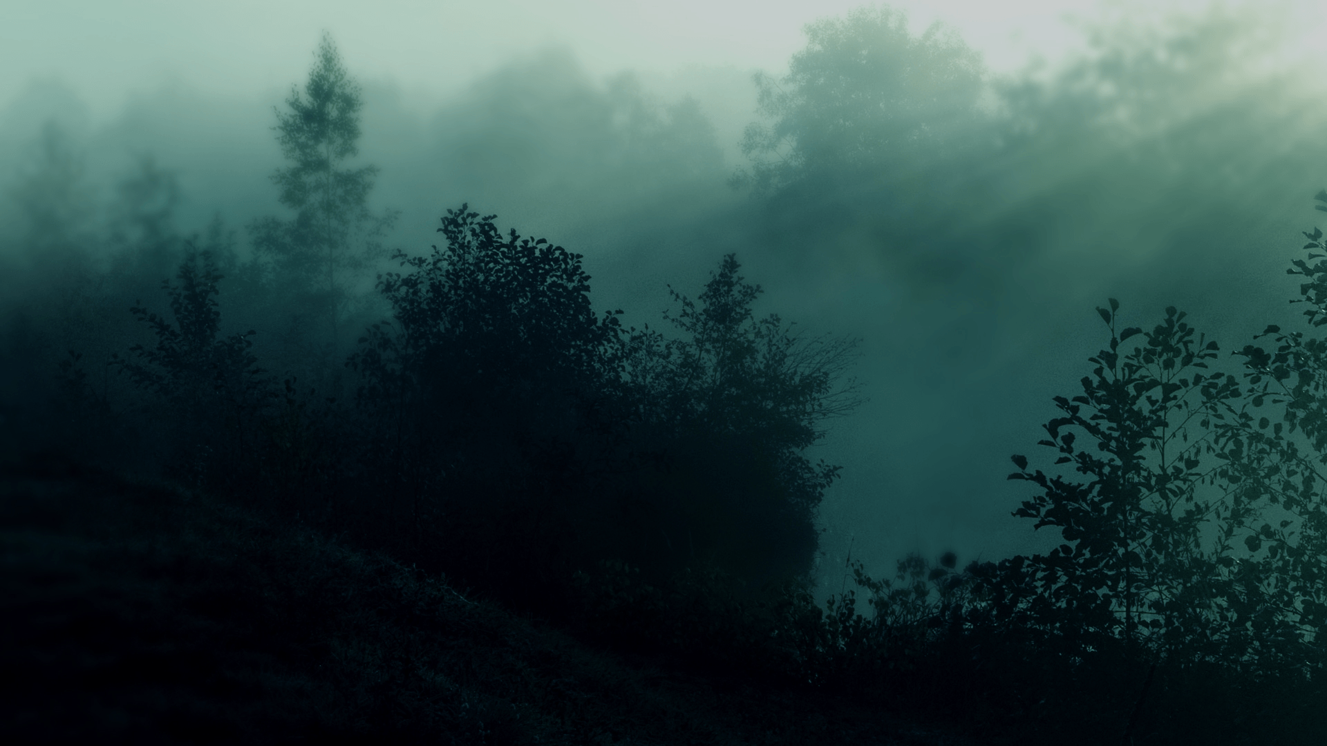 Download Wallpapers Nature Trees Dark Forest Mist Sunlight 1920x1080 HD Wal...
