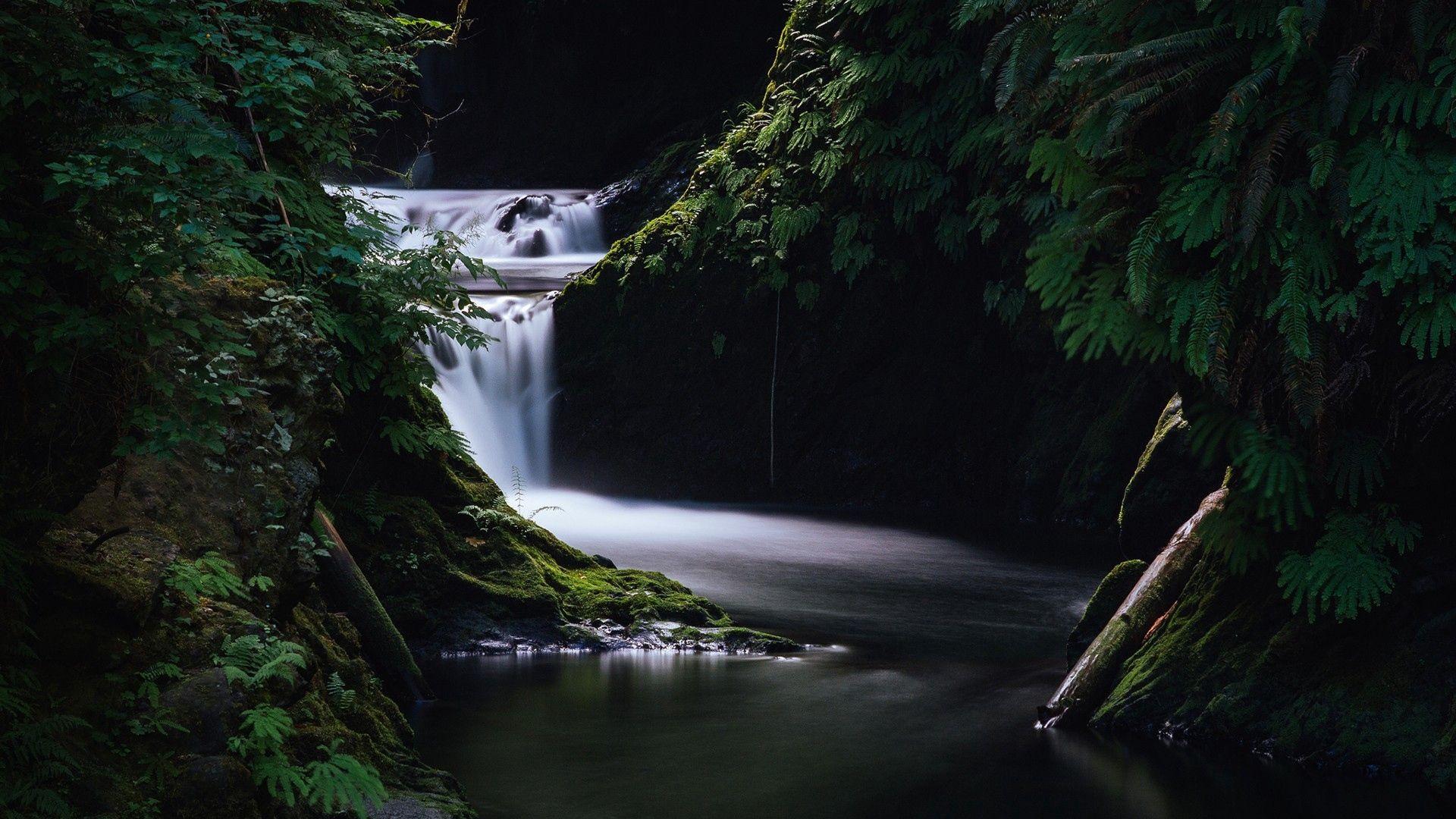 Download wallpaper 1920x1080 waterfall, grass, dark, nature full HD