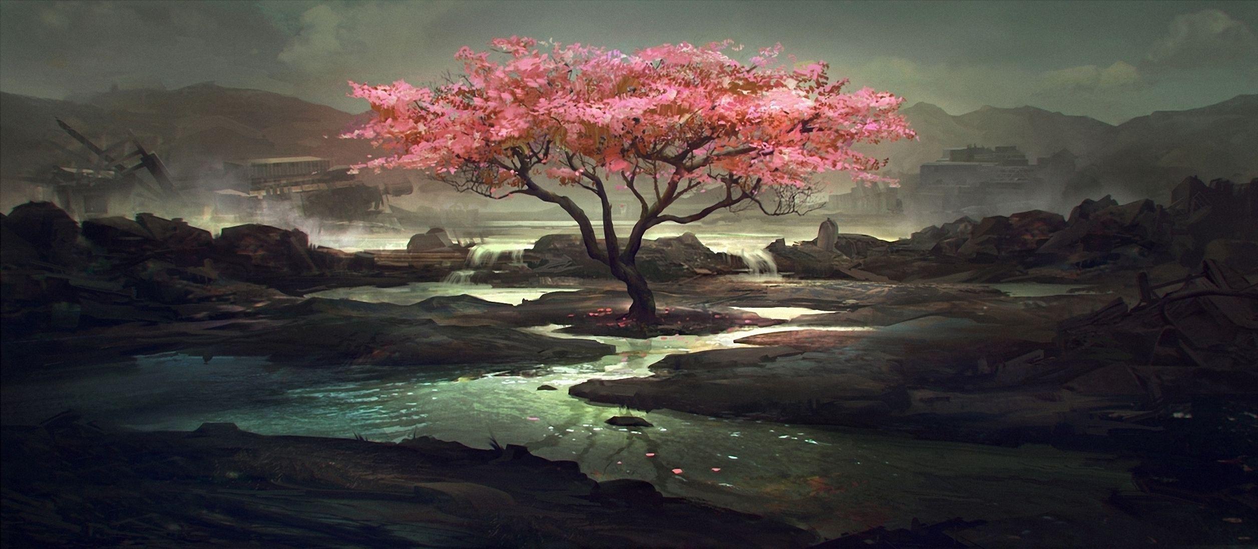 Flowering tree on the dark nature wallpaper and image