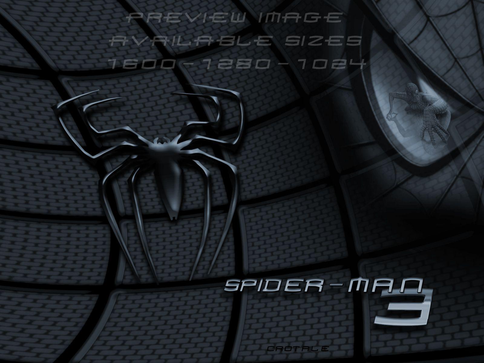 Spider Man 3 WP