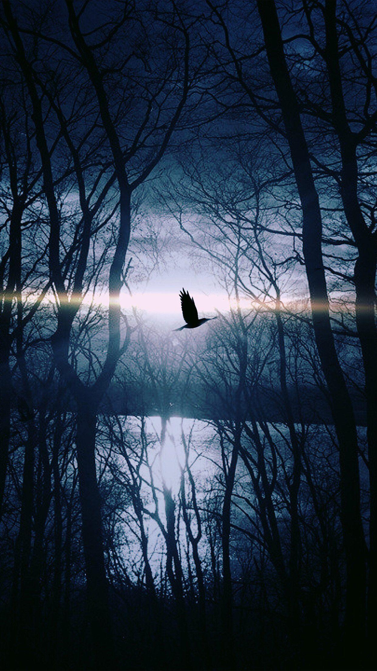 Wood Night Dark Nature Bird Fly Lake Android wallpaper HD