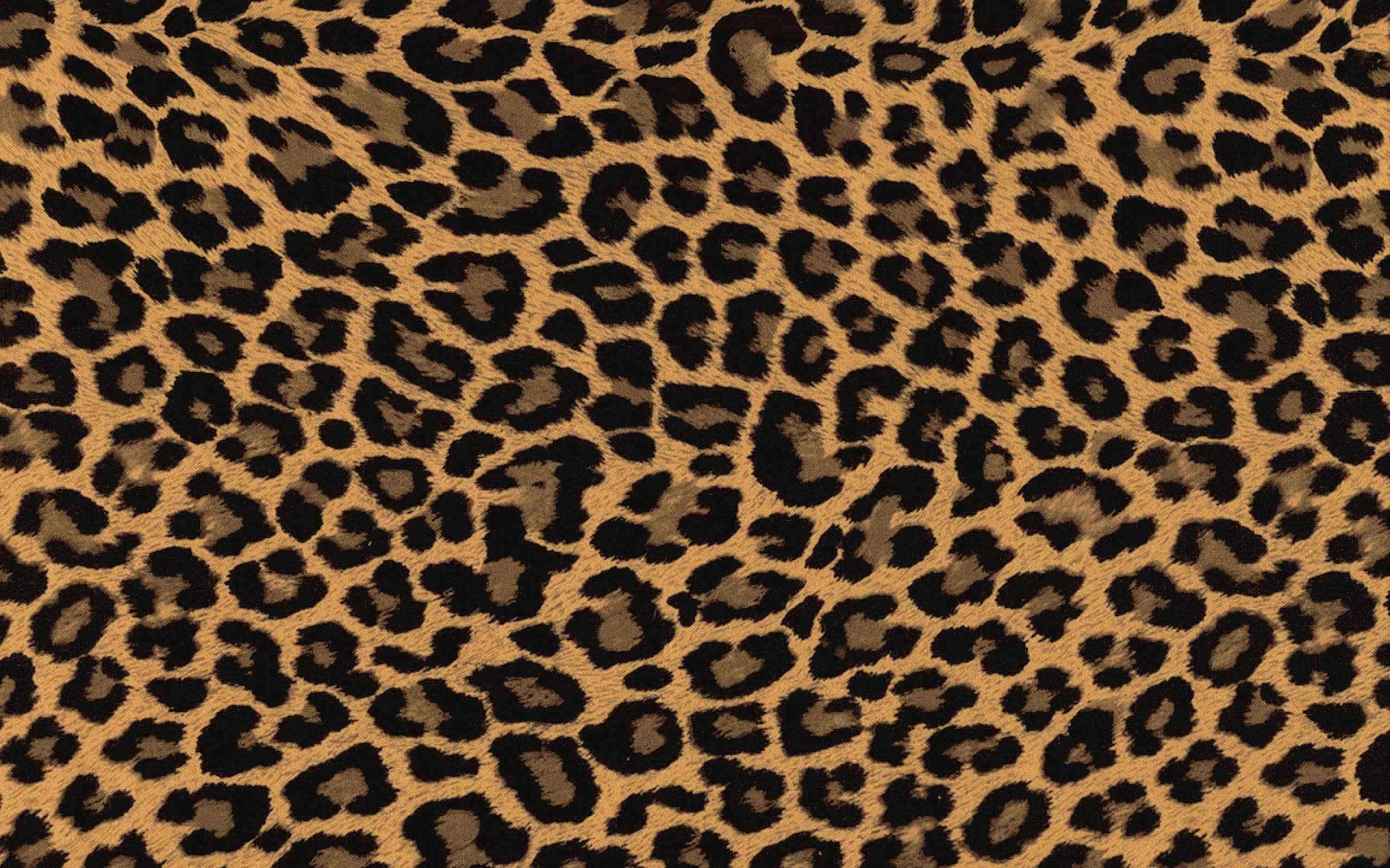 Aesthetic Cheetah Print Wallpaper Computer