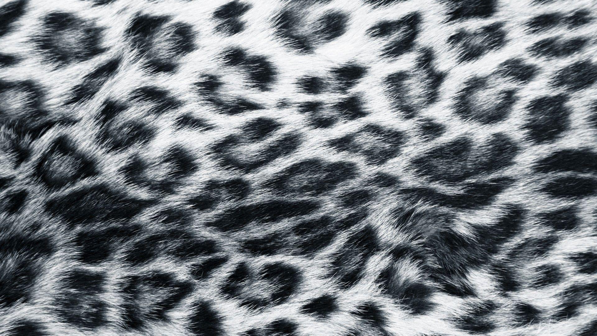 Leopard Print Wallpaper HD