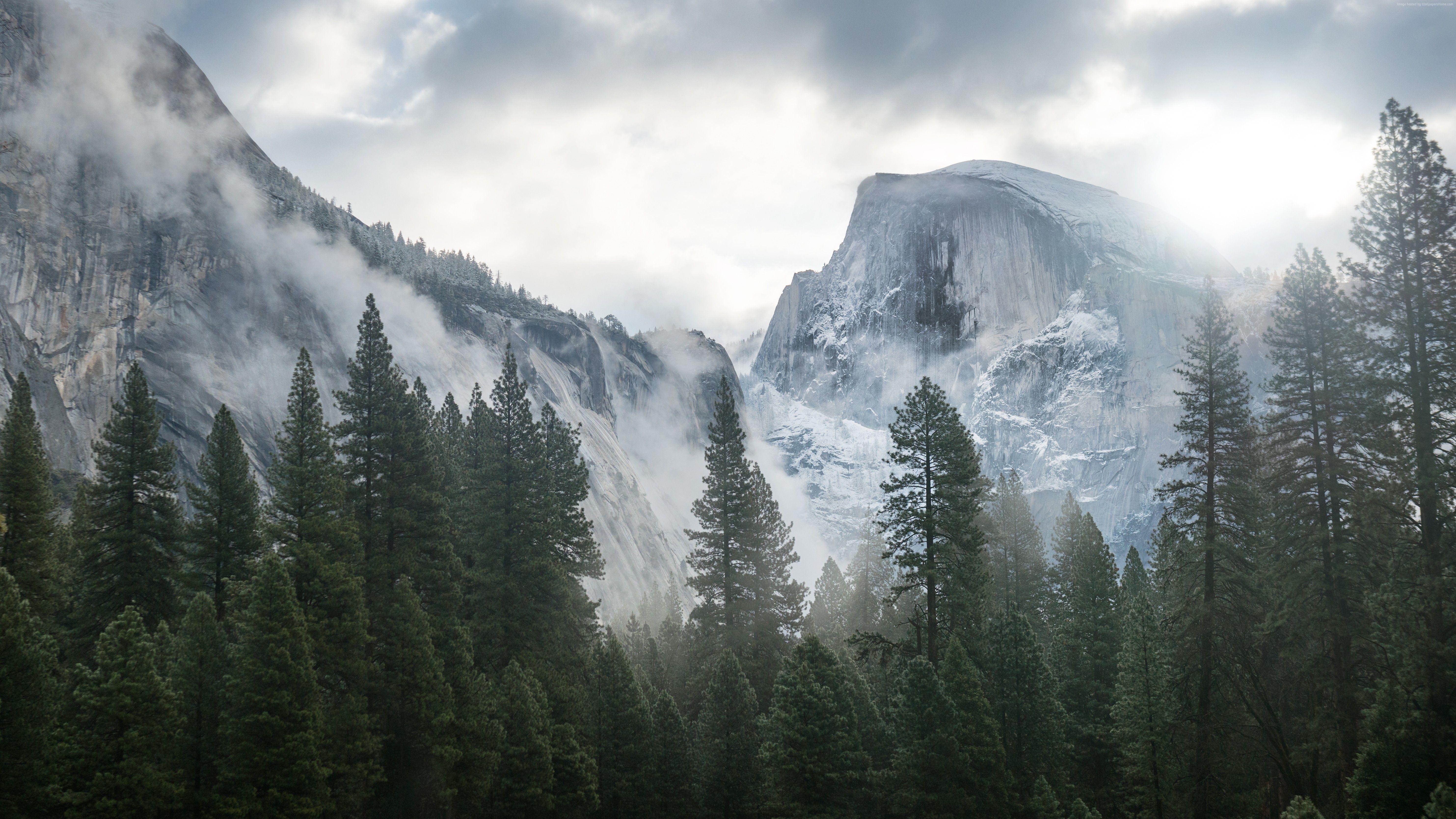 Wallpaper Yosemite, 5k, 4k wallpaper, 8k, forest, OSX, apple