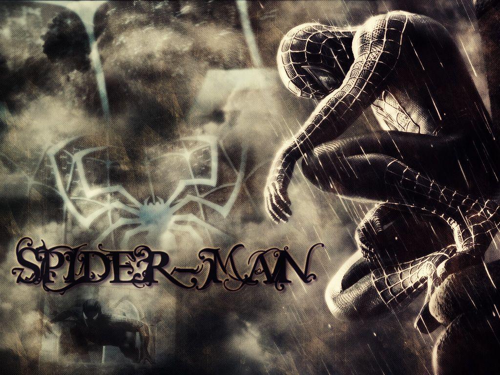 212: Spiderman In Action Wallpaper