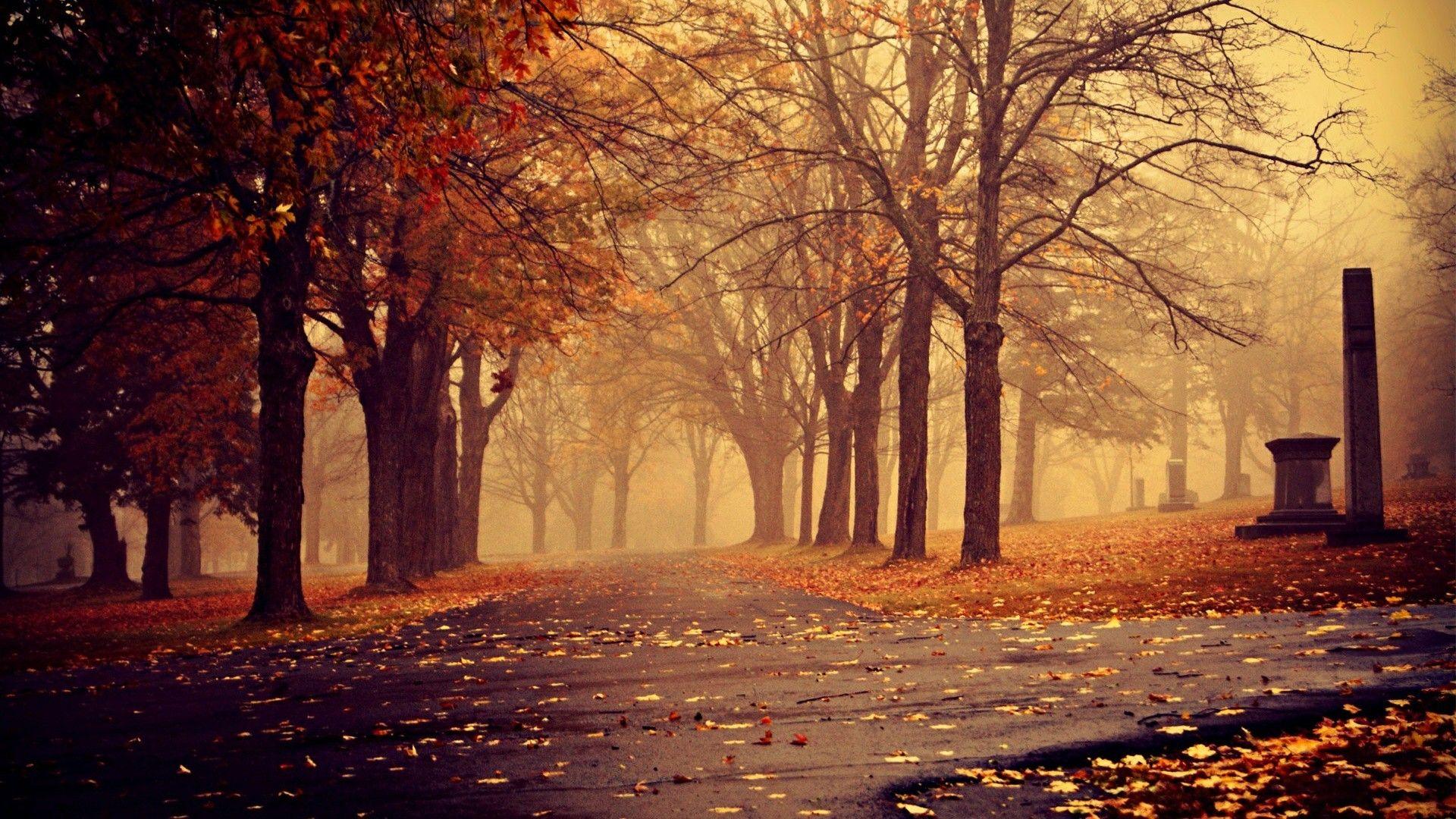 Free 3D Autumn Classic Photography Wallpaper HD Download