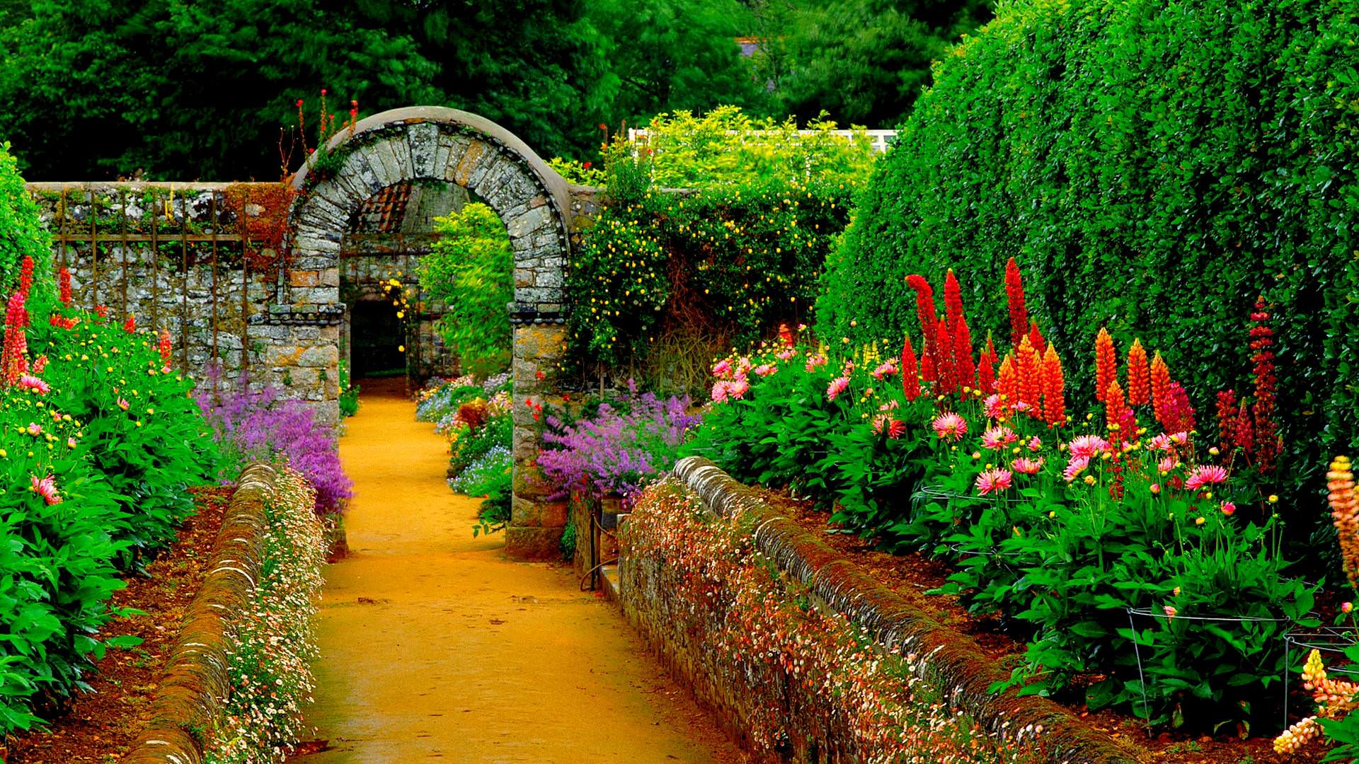 Garden Path wallpaper. HD Latest Wallpaper