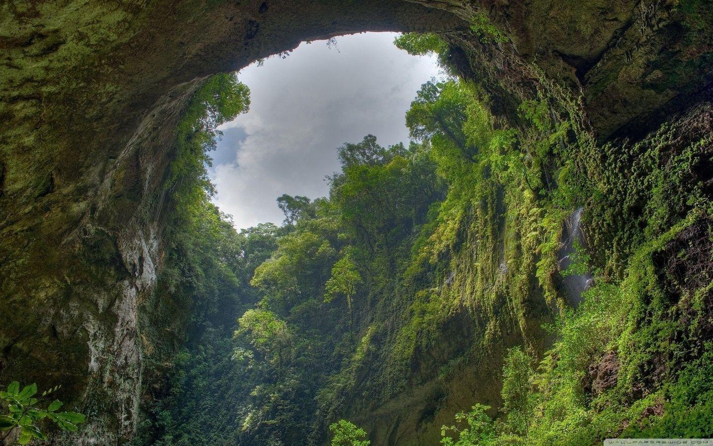 Raining Forest Wallpapers Wallpaper Cave