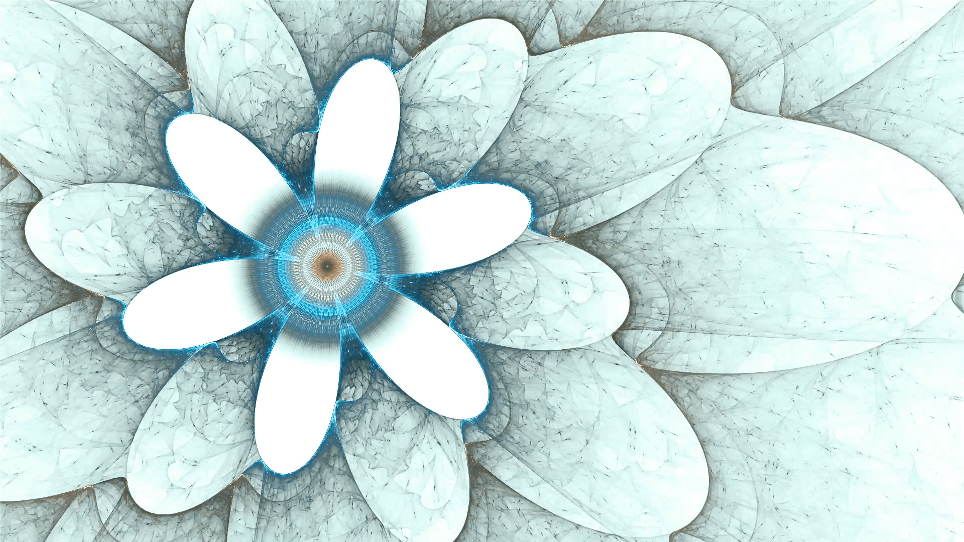 blue flower, spring, floral background, flowers on white, spring