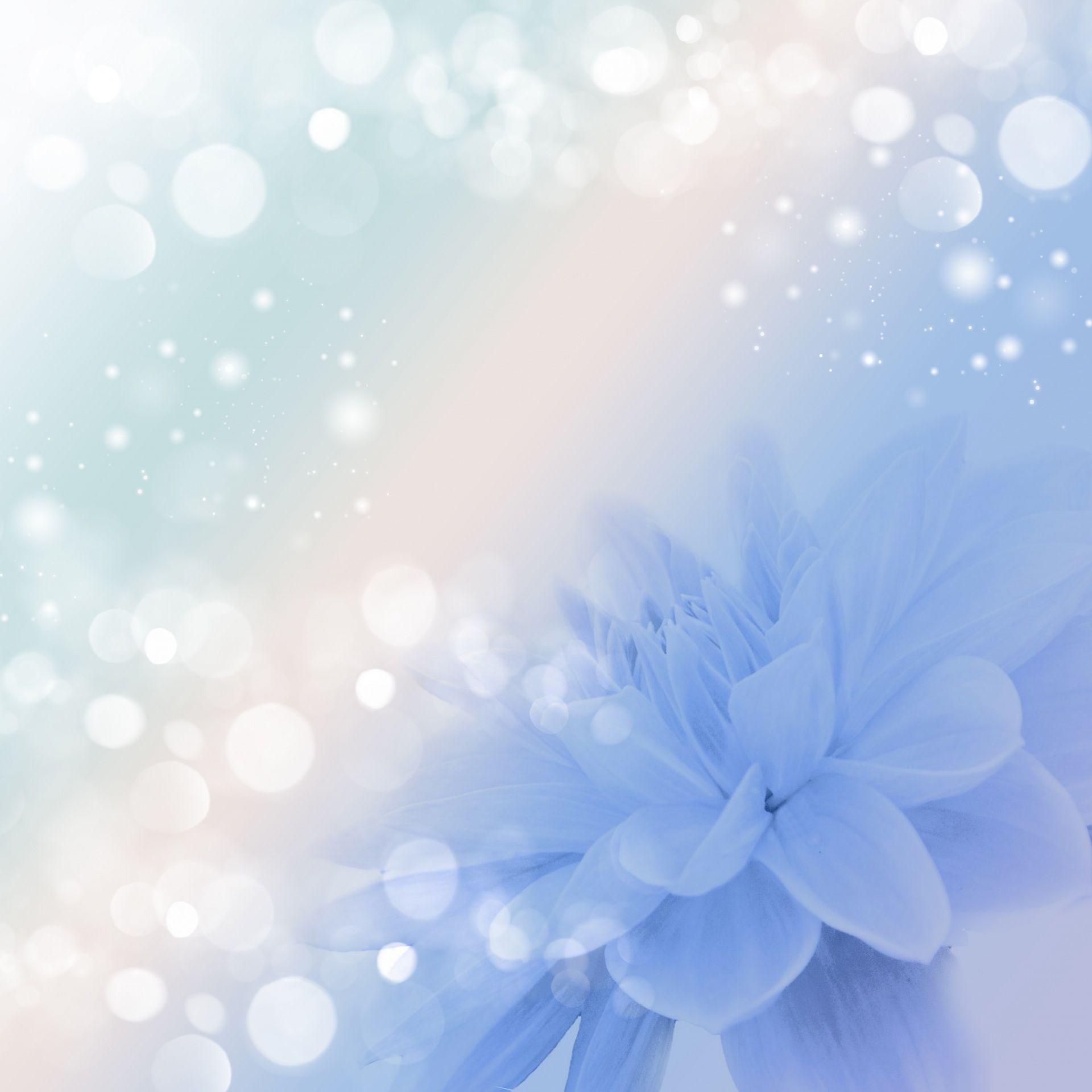 Floral Background With Bokeh Free Domain Picture