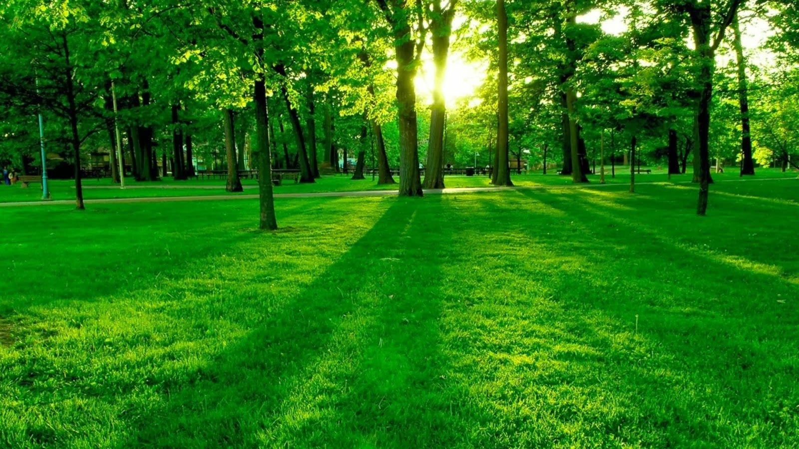 Pics Of Nature
