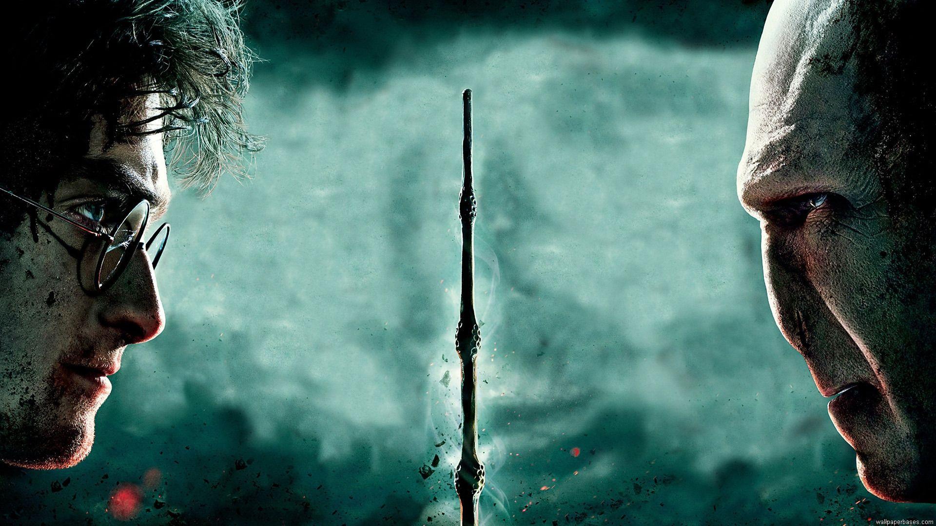 Harry Potter Vs Lord Voldemort wallpaper