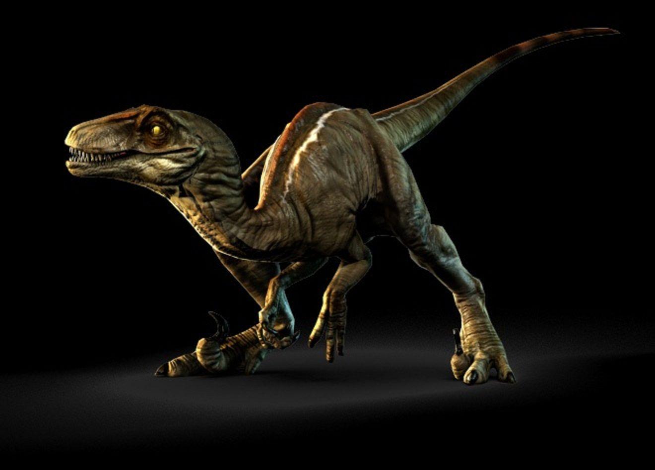 Featured image of post High Resolution Dinosaur Hd Wallpaper Support us by sharing the content upvoting wallpapers on the page or sending your own
