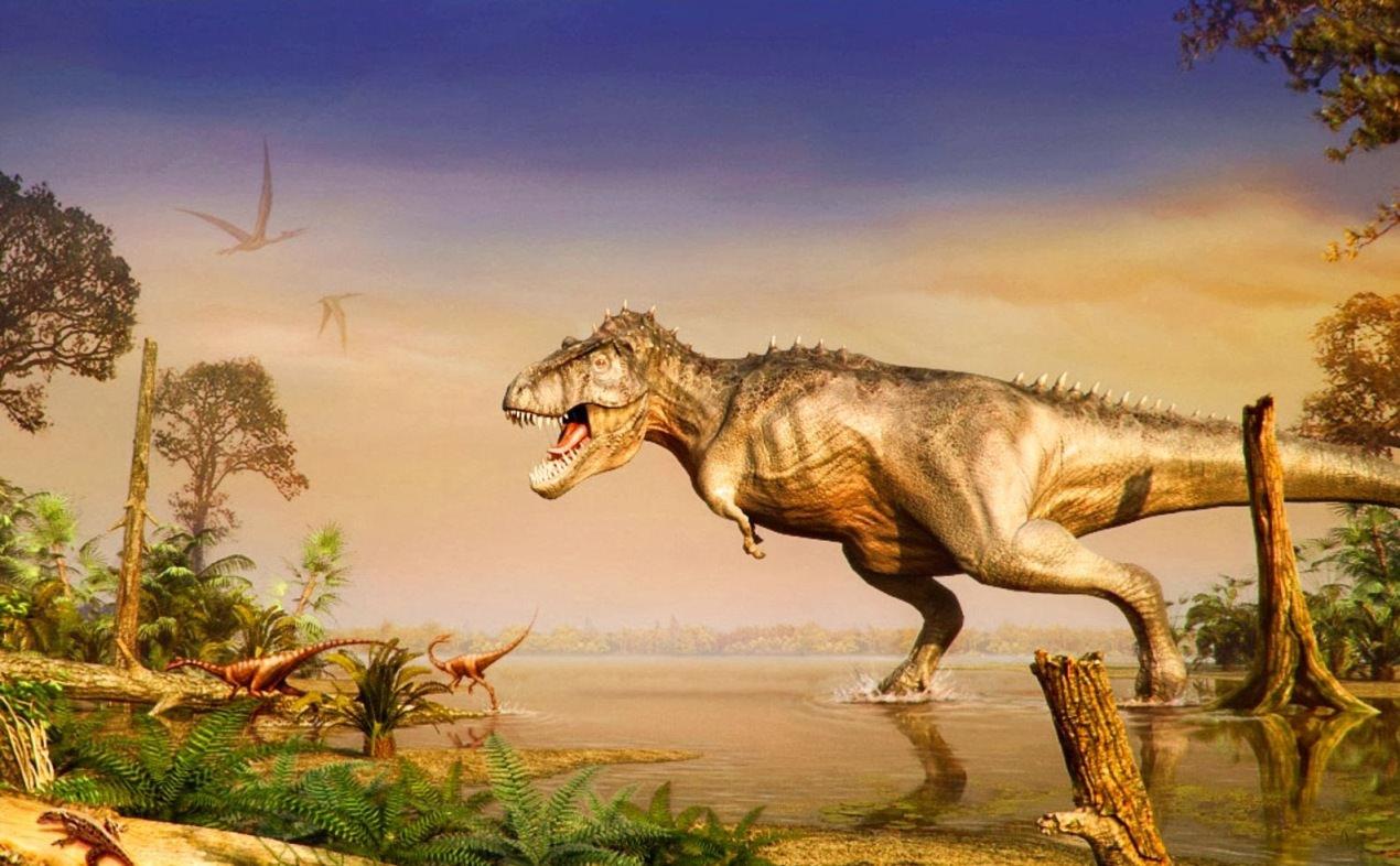 HD Dinosaur Wallpaper Picture for Desktop Free Download
