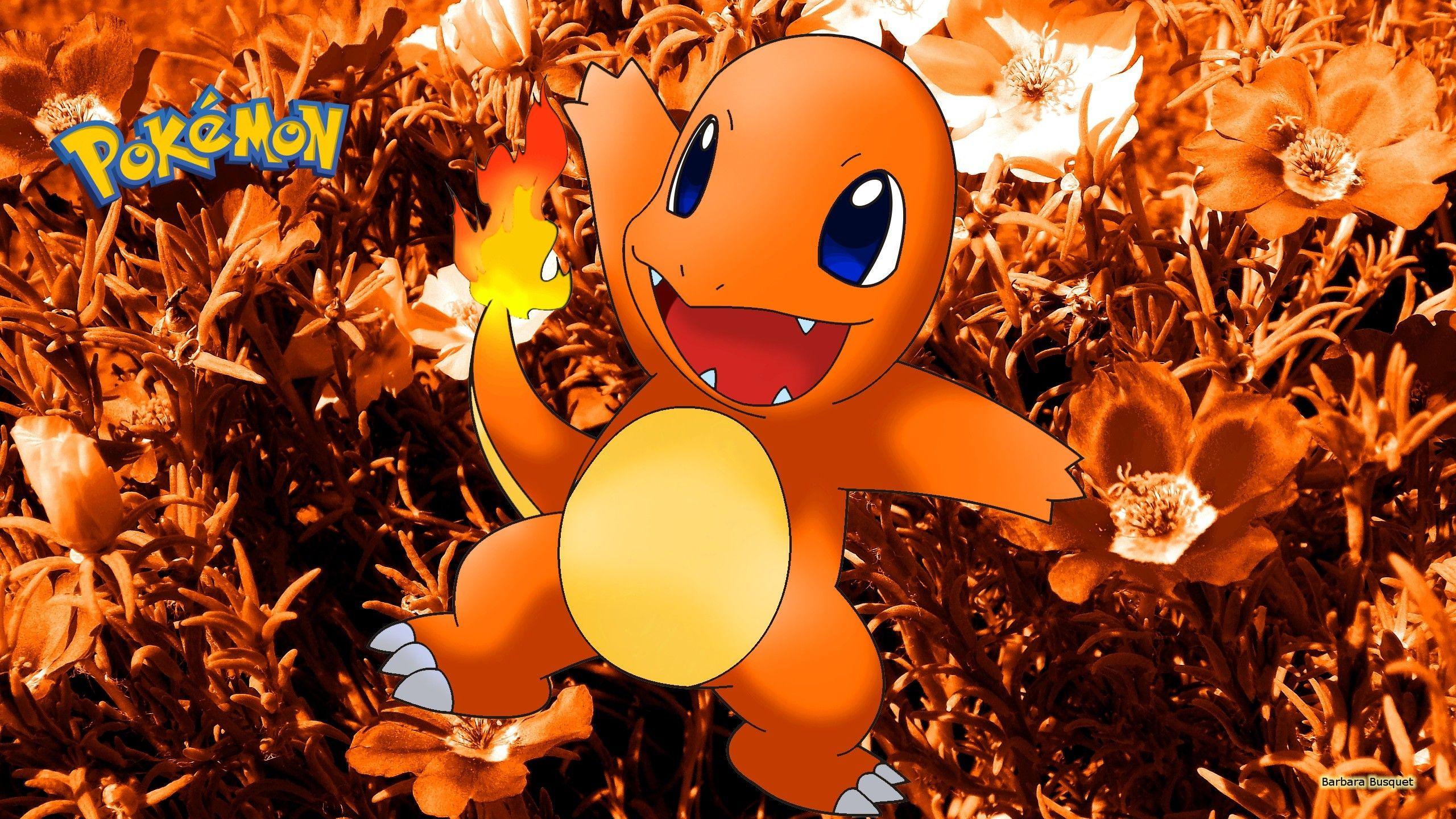 Charmander Pok mon Wallpapers Wallpaper Cave Charmander Pok mon Wallpapers Wallpaper Cave
