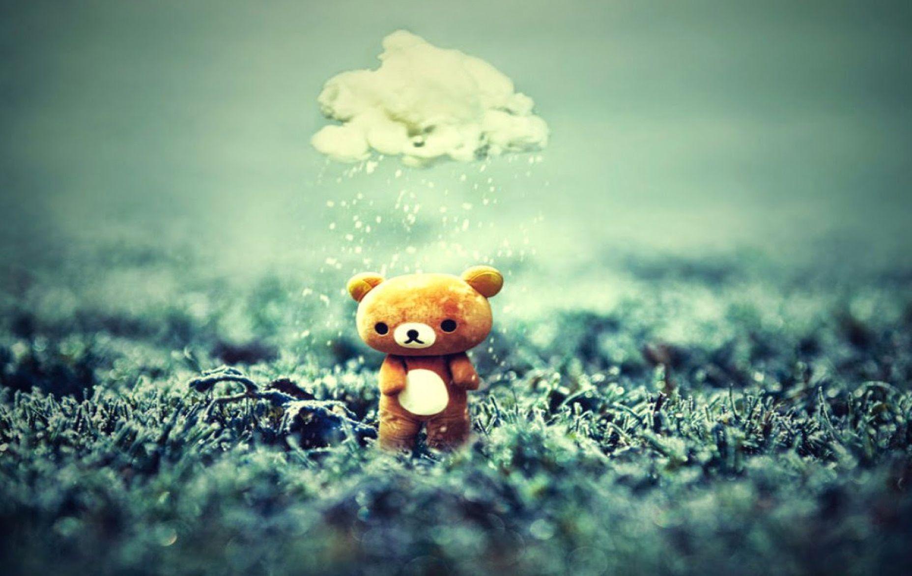 Teddy bear sad rain monsoon image HD wallpaper