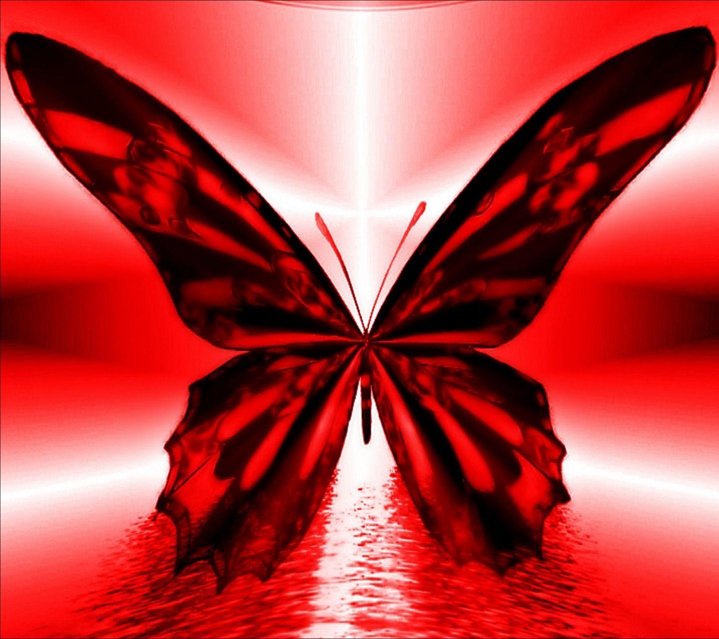 Butterfly Wallpaper For Mobile Phone