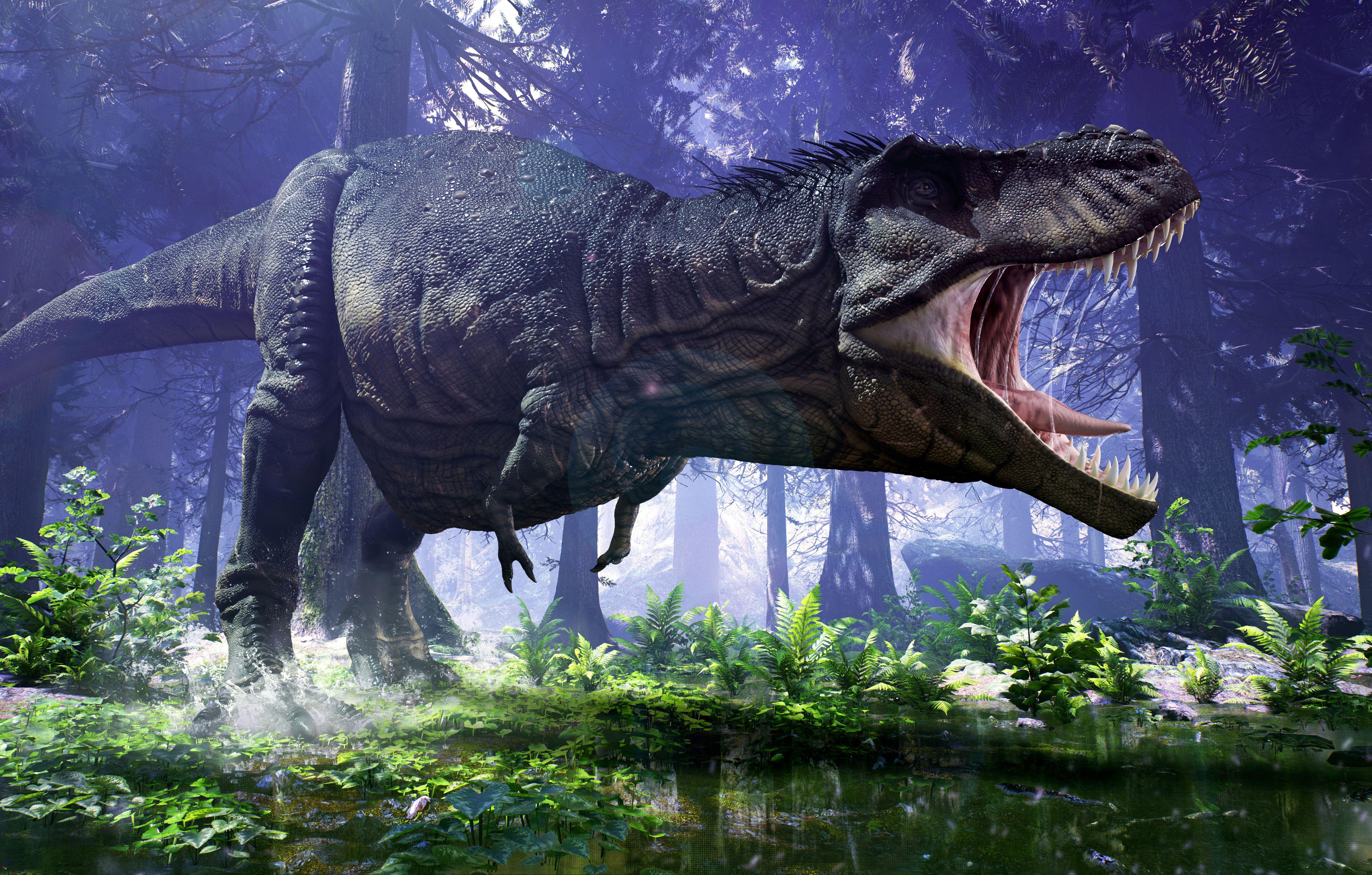 Wallpaper Tyrannosaurus, T Rex, HD, 5K, Creative Graphics