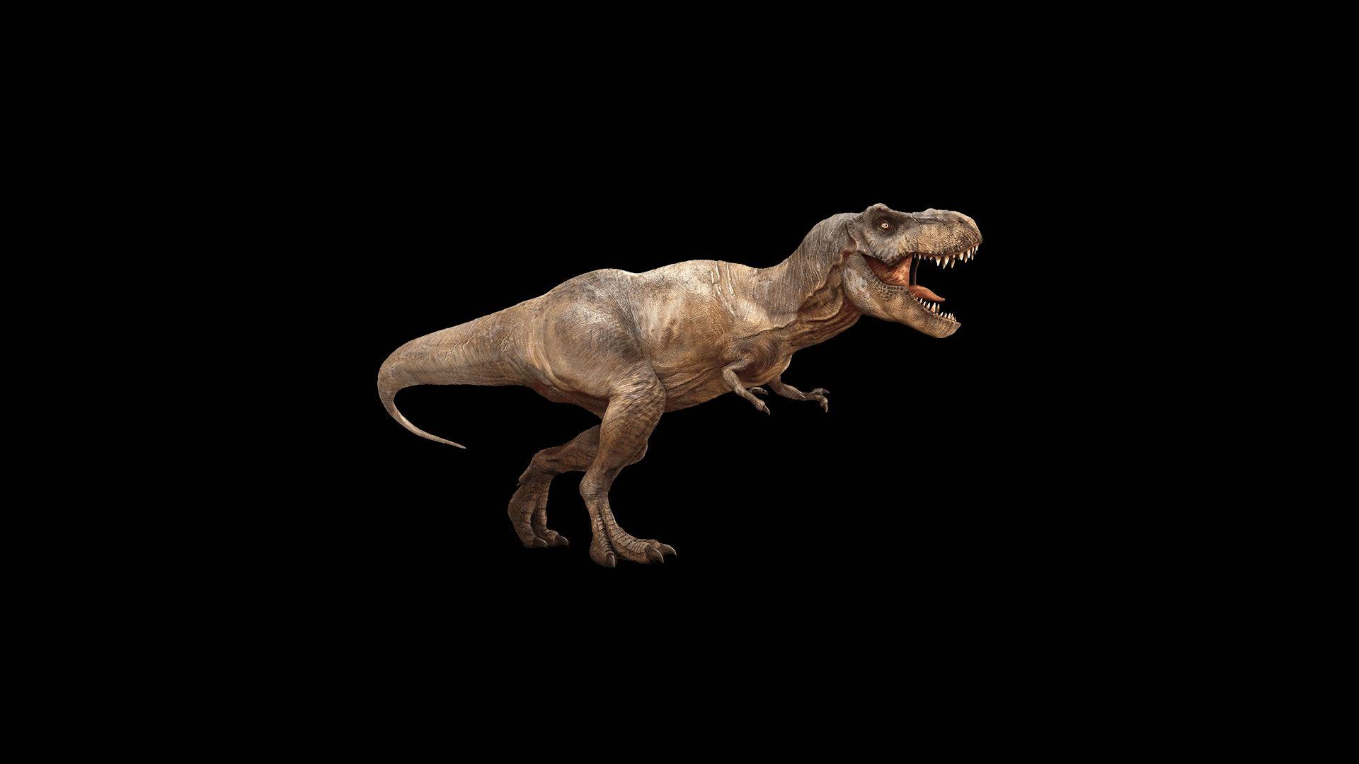 Jurassic World T Rex HD Wallpaperx1080