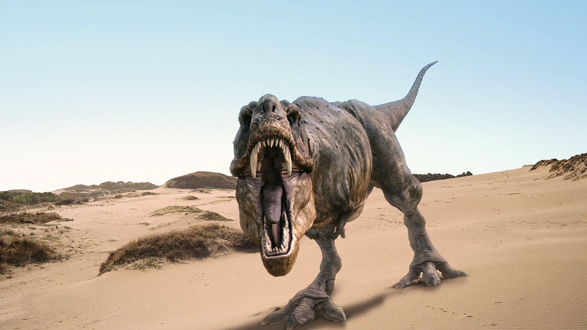 T Rex Dinosaurs HD Desktop Wallpaper. Bad Ass Art